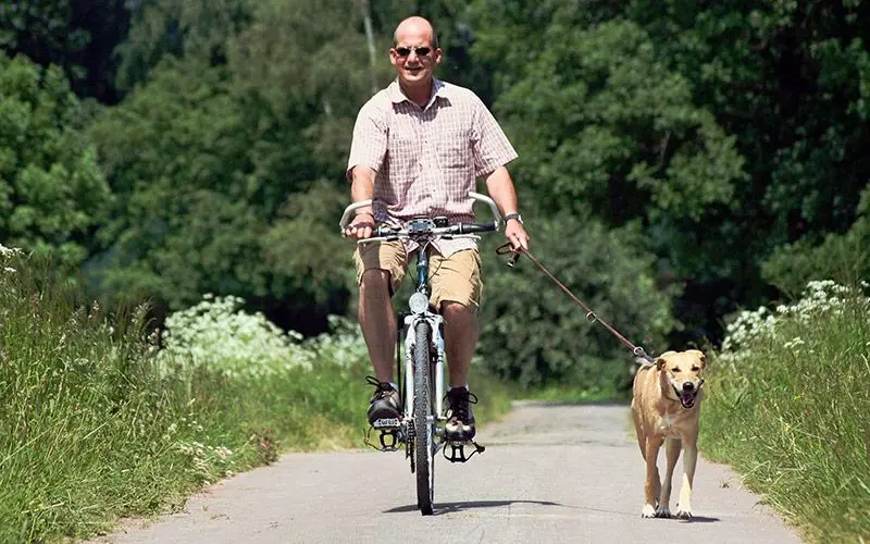 Cycling With A Dog Cruel